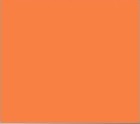 Lainee Ltd. Zopfgummis / Top Knot bands / small / 1/4"- orange
