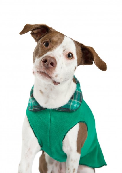 GoldPaw Stretch Duluth Double Fleece Pullover - Wintergreen Plaid and Emerald