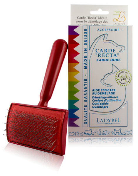 Ladybel Lady Recta – Entfilzungsbürste