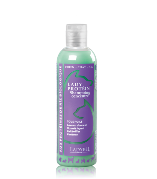 Ladybel Lady Protein Shampoo
